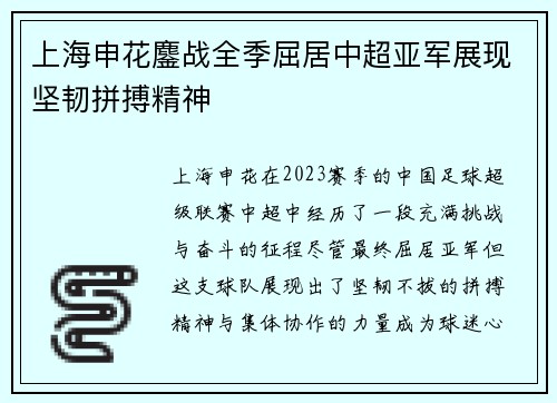 上海申花鏖战全季屈居中超亚军展现坚韧拼搏精神