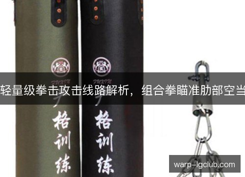 轻量级拳击攻击线路解析,组合拳瞄准肋部空当 轻量级拳击攻击线路解析,组合拳瞄准肋部空当